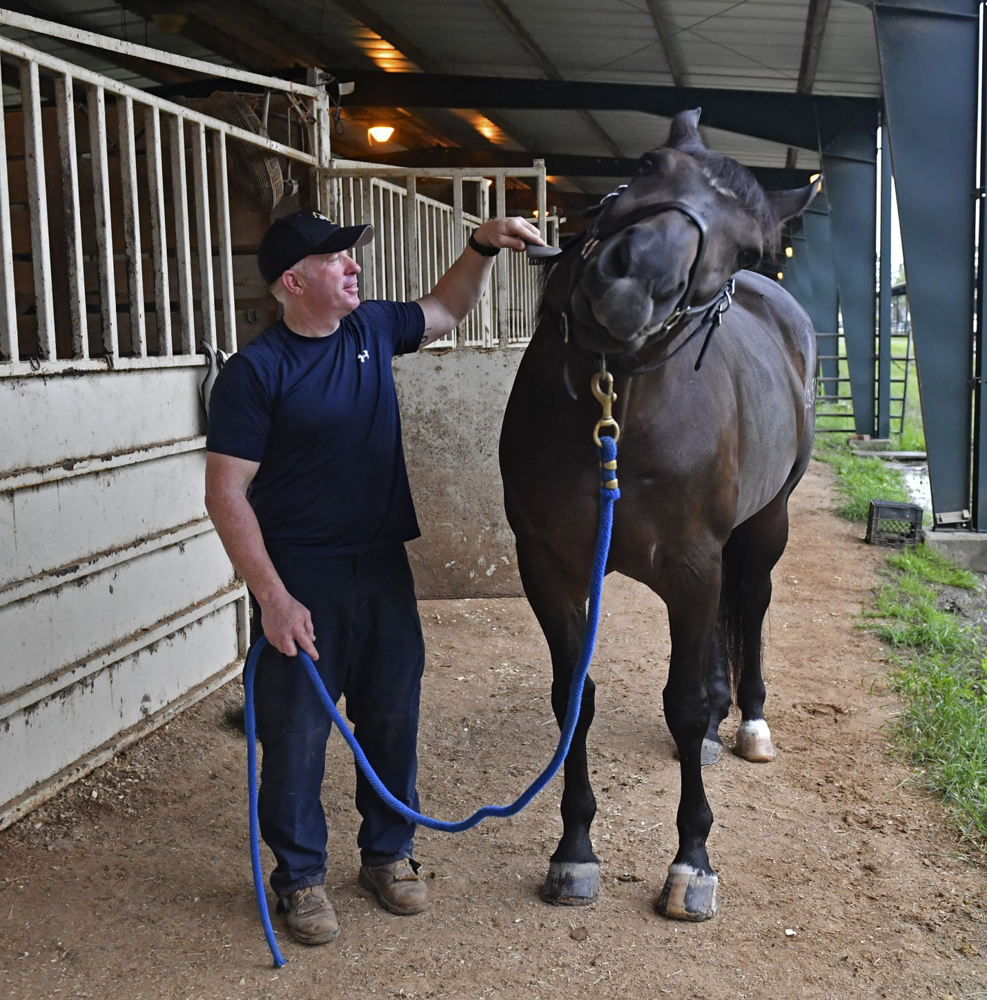 BR.brpdhorses.adv HS 016.JPG